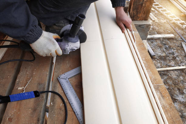 Best Custom Siding Design  in Chesapeake, WV